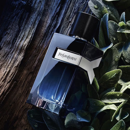 Saint Laurent Y Eau de Parfum 3.3 oz