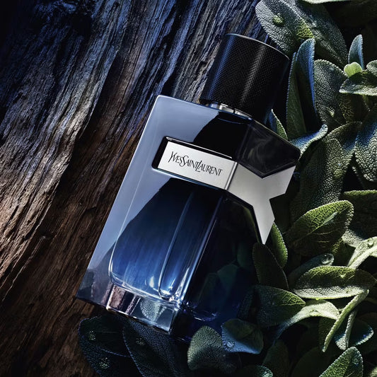 Saint Laurent Y Eau de Parfum 3.3 oz