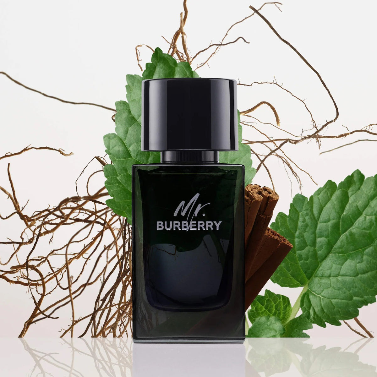 BURBERRY Mr. Burberry Eau de Parfum with Patchouli and Vetiver 1.6 oz
